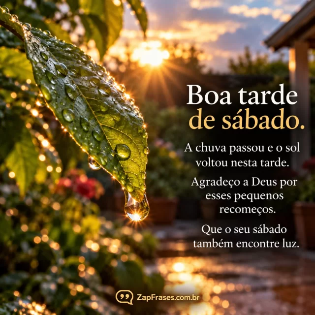 Sol surgindo após chuva em quintal com gotas nas folhas, fotografia macro poética. Arte com a mensagem: A chuva passou e o sol voltou nesta tarde. Agradeço a Deus por esses pequenos recomeços. Que o seu sábado também encontre luz.