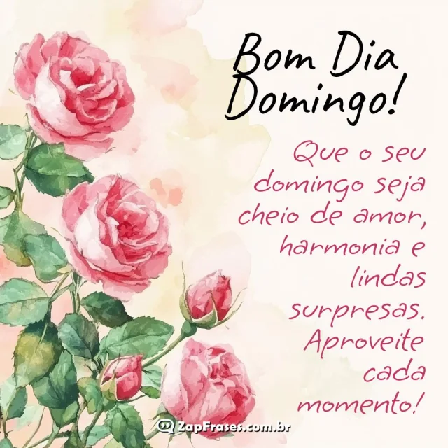 Bom Dia Domingo com amor, harmonia e surpresas