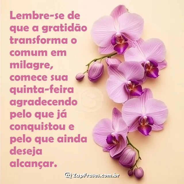 Mensagem de bom dia sobre gratidão com flores de orquídeas