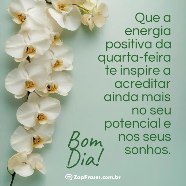 Imagem de bom dia com orquídeas e mensagem inspiradora para quarta-feira