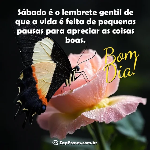 Borboleta colorida sobre flor rosa com a mensagem: Sábado é o lembrete gentil de que a vida é feita de pequenas pausas para apreciar as coisas boas.