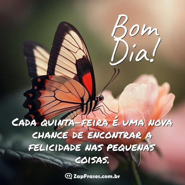 Borboleta pousada em flor rosada com mensagem de bom dia quinta-feira