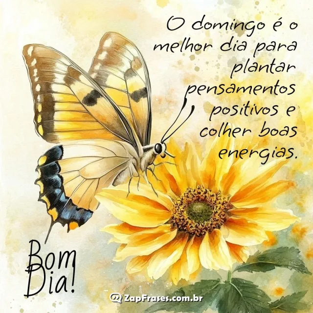 Borboleta amarela pousada em girassol com mensagem de bom dia para domingo