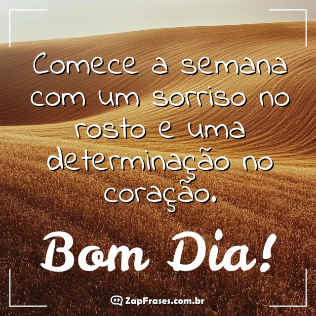 Campo de trigo iluminado com mensagem motivacional de bom dia