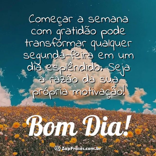 Imagem de um campo florido com mensagem inspiradora de Bom Dia.
