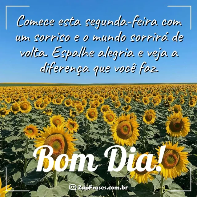 Campo de girassóis com mensagem de bom dia positiva para segunda-feira
