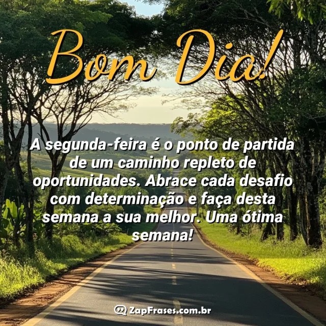 Estrada tranquila ao amanhecer simbolizando um novo começo cercado por árvores.