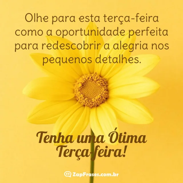 Mensagem positiva sobre uma ótima terça-feira com flor margarida em fundo amarelo.