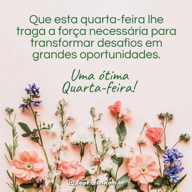 Flores coloridas com mensagem inspiradora de quarta-feira