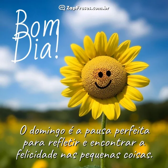 Girassol sorridente em um campo iluminado com mensagem de bom dia