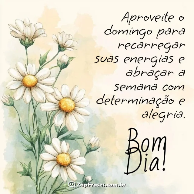 Imagem de margaridas com mensagem de bom dia para domingo