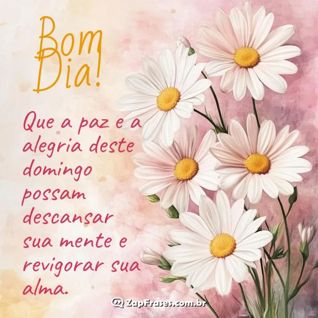 Imagem com fundo rosa e creme, margaridas brancas, e mensagem motivacional de bom dia.