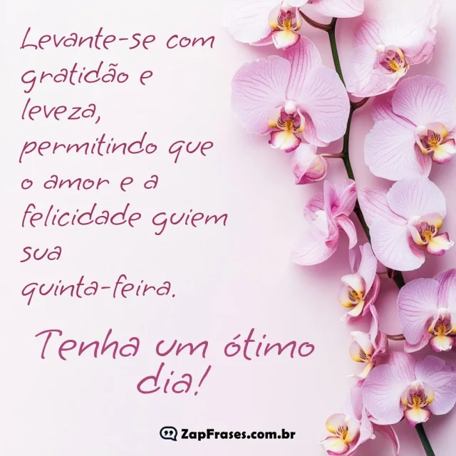 Orquídeas lilás com mensagem positiva para quinta-feira