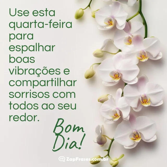 Imagem com flores brancas orquídeas e mensagem de quarta-feira com boas vibrações