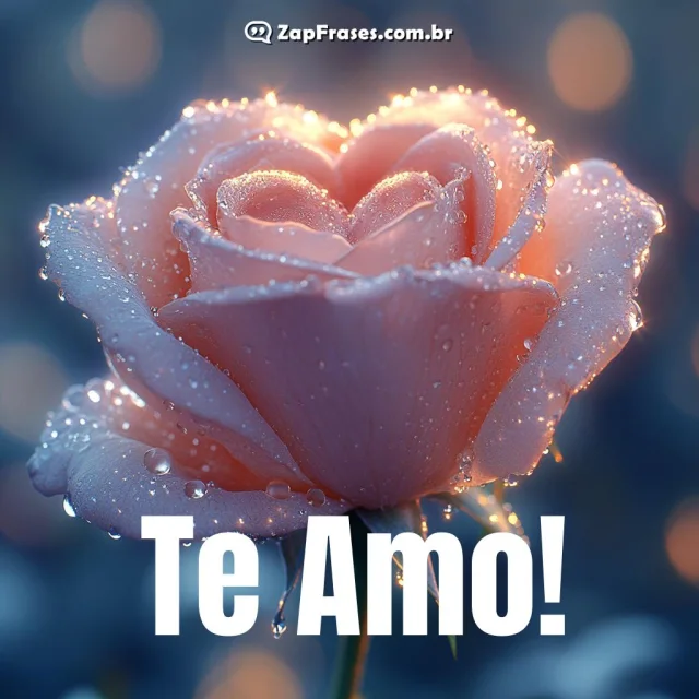 Rosa delicada com a frase Te Amo em destaque