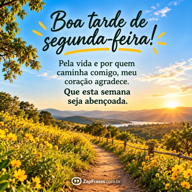Fotografia natural de campo florido brasileiro com trilha suave na luz da tarde, céu amplo limpo para texto, verde e amarelo, imagem protagonista.. Arte com a mensagem: Boa tarde de segunda-feira! Pela vida e por quem caminha comigo, meu coração agradece. Que esta semana seja abençoada.