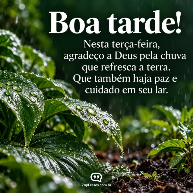 Folhas grandes molhadas com gotas e jardim de terra sob chuva leve da tarde; foco macro, fundo escuro verde.. Arte com a mensagem: Boa tarde! Nesta terça-feira, agradeço a Deus pela chuva que refresca a terra. Que também haja paz e cuidado em seu lar.