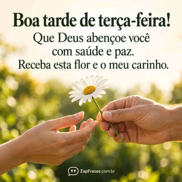 Uma mão adulta oferece uma margarida branca a outra, com fundo verde suave de jardim e luz de tarde.. Arte com a mensagem: Boa tarde de terça-feira! Que Deus abençoe você com saúde e paz. Receba esta flor e o meu carinho.