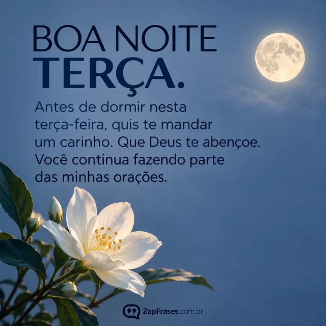 Única flor branca e lua no canto de azul acinzentado.. Arte com a mensagem: Boa noite, terça. Antes de dormir nesta terça-feira, quis te mandar um carinho. Que Deus te abençoe. Você continua fazendo parte das minhas orações.