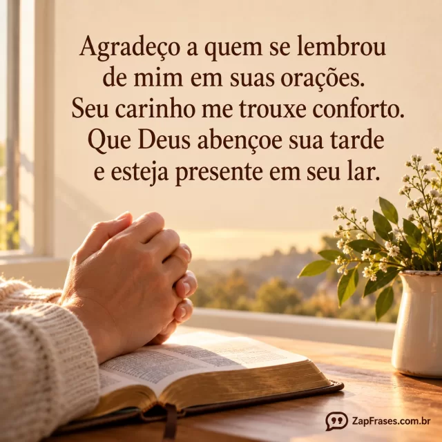 Mãos juntas em oração à janela, pequeno ramo, luz clara de tarde.. Arte com a mensagem: Agradeço a quem se lembrou de mim em suas orações. Seu carinho me trouxe conforto. Que Deus abençoe sua tarde e esteja presente em seu lar.