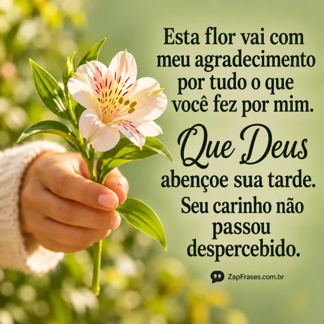 Uma mão oferece uma flor clara, fundo verde-sálvia e luz natural.. Arte com a mensagem: Esta flor vai com meu agradecimento por tudo o que você fez por mim. Que Deus abençoe sua tarde. Seu carinho não passou despercebido.