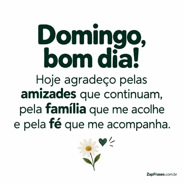 Uma flor e um coração pequenos, fundo branco opaco.. Arte com a mensagem: Domingo, bom dia! Hoje agradeço pelas amizades que continuam, pela família que me acolhe e pela fé que me acompanha.