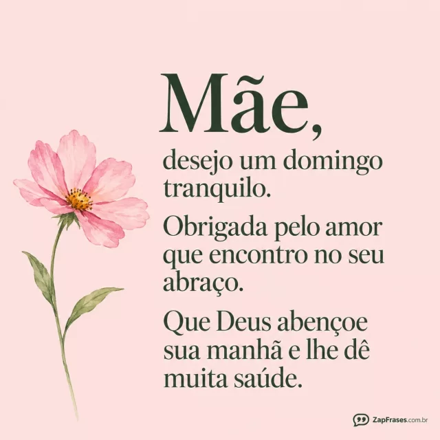 Flor rosa solitária em aquarela, fundo rosé pálido.. Arte com a mensagem: Mãe, desejo um domingo tranquilo. Obrigada pelo amor que encontro no seu abraço. Que Deus abençoe sua manhã e lhe dê muita saúde.