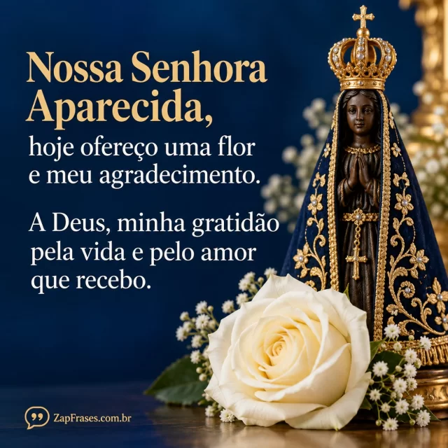 Uma rosa branca junto a pequena escultura tradicional reconhecível de Aparecida; área vazia azul marinho à esquerda, luz difusa, poucos objetos. Baixa densidade.. Arte com a mensagem: Nossa Senhora Aparecida, hoje ofereço uma flor e meu agradecimento. A Deus, minha gratidão pela vida e pelo amor que recebo.